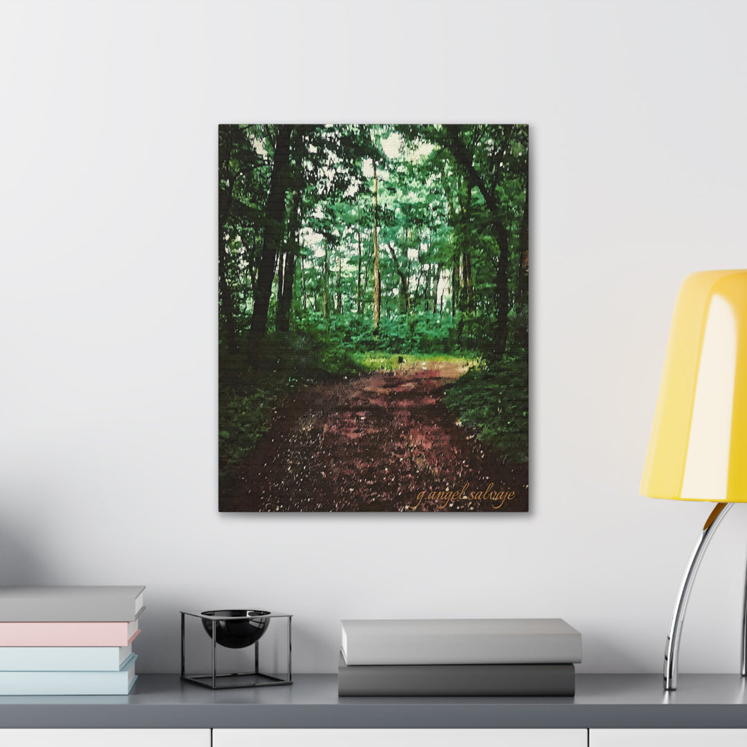 Long and Winding Path Canvas Gallery Wraps