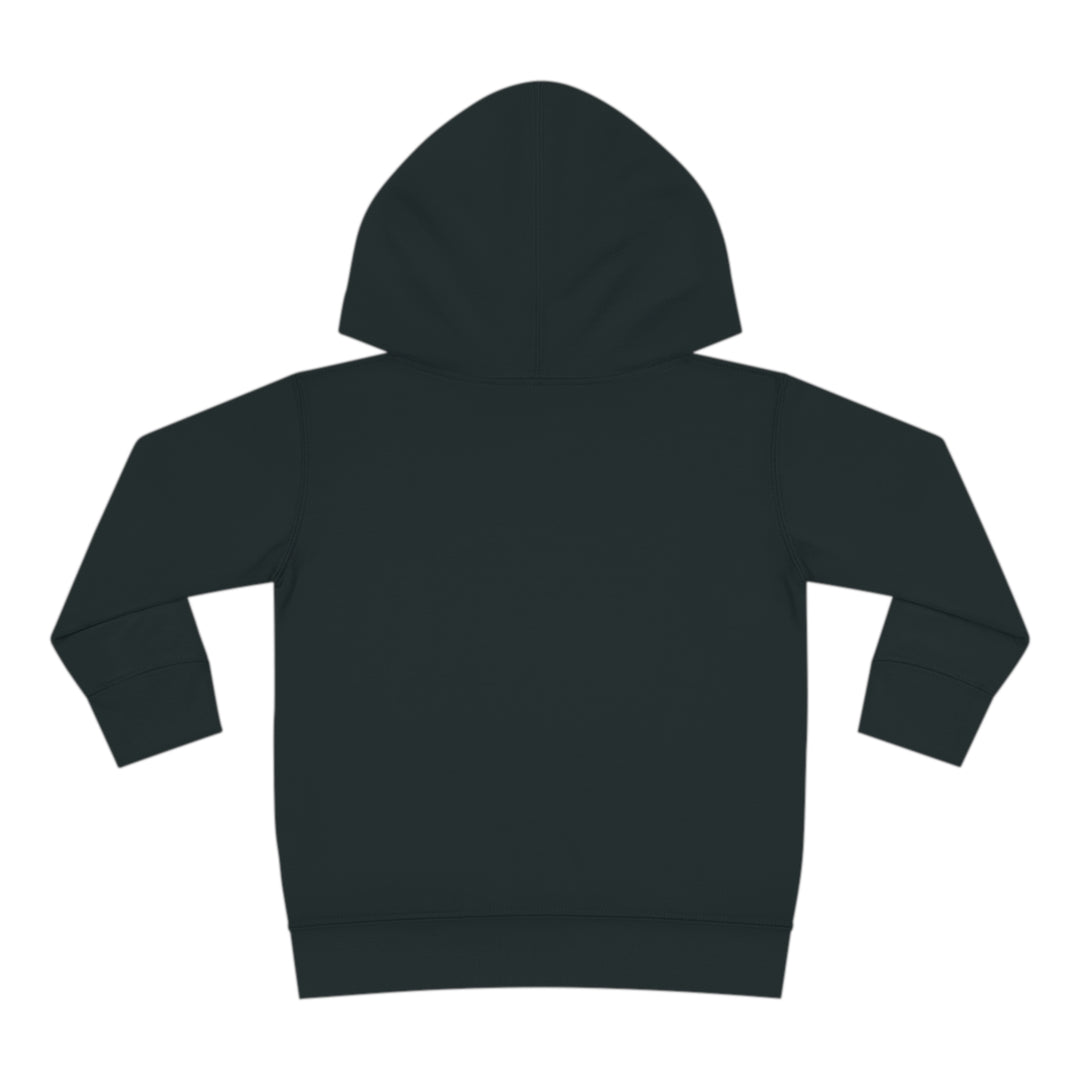 Stay positive dawg Pullover Fleece Hoodie