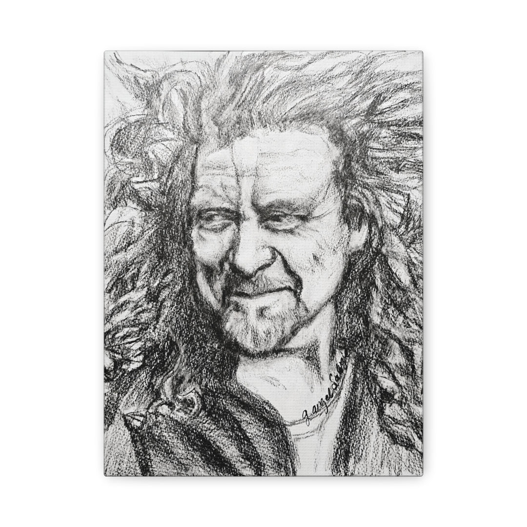 Canvas Print - Robert Plant Rock and Roll Portrait