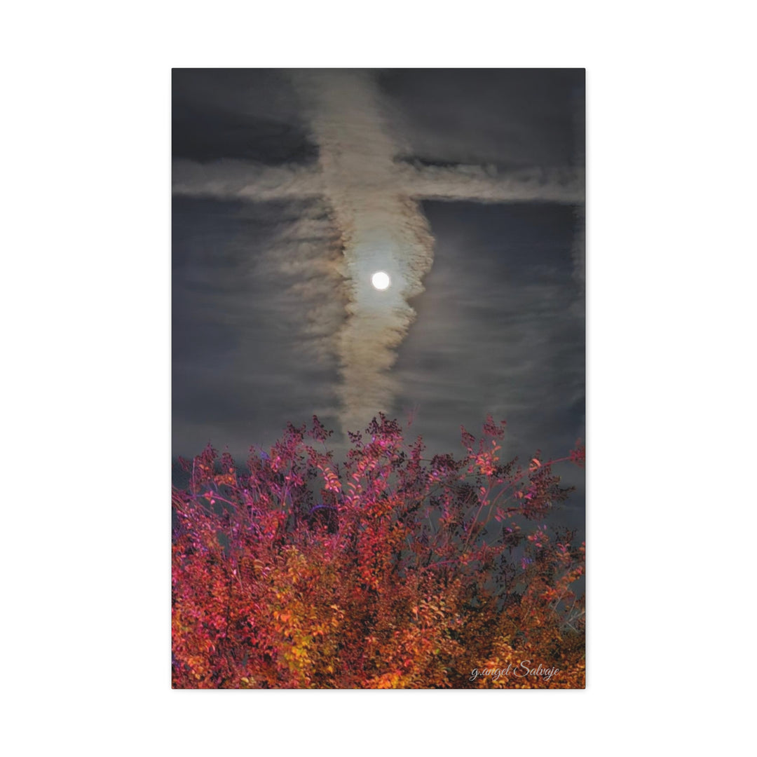 Once Upon a Moon Canvas Gallery Wraps