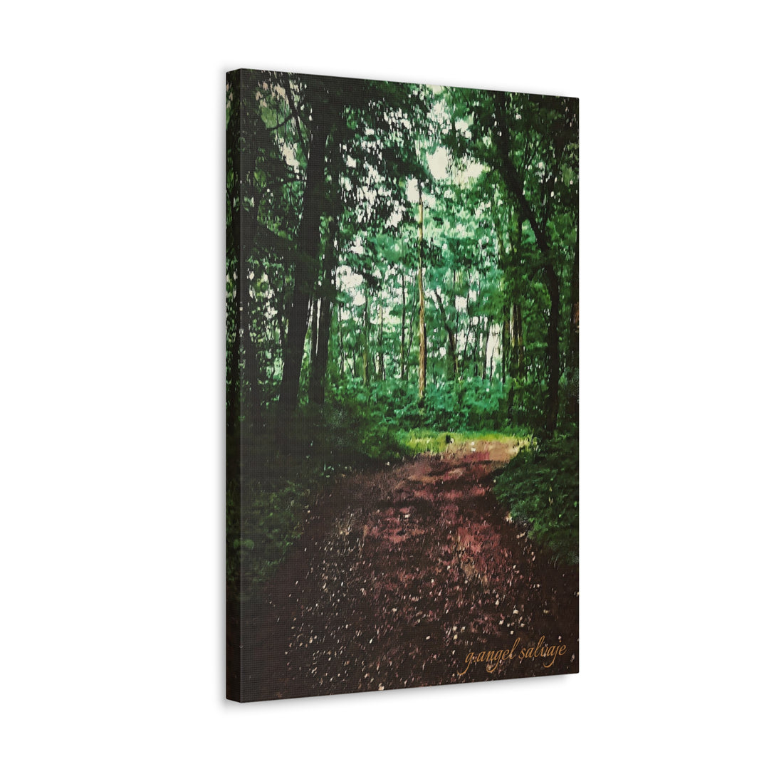 Long and Winding Path Canvas Gallery Wraps