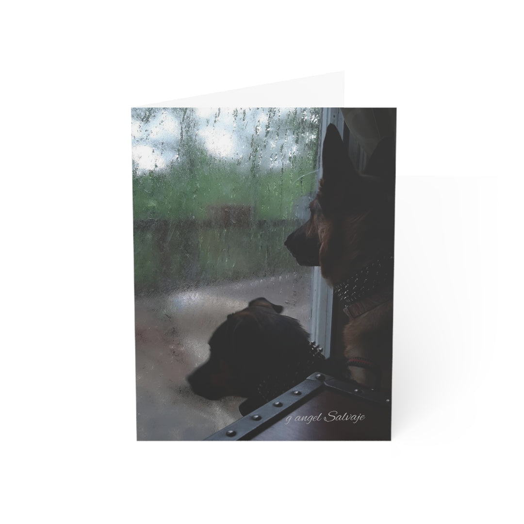It can't Rain Forever, Disappointed DogsGreeting Cards Set - Perfect for Pet Lovers