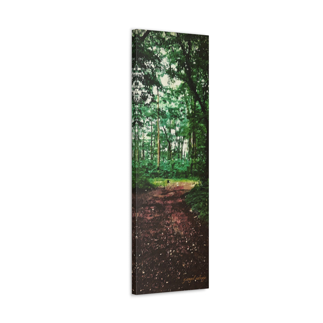 Long and Winding Path Canvas Gallery Wraps