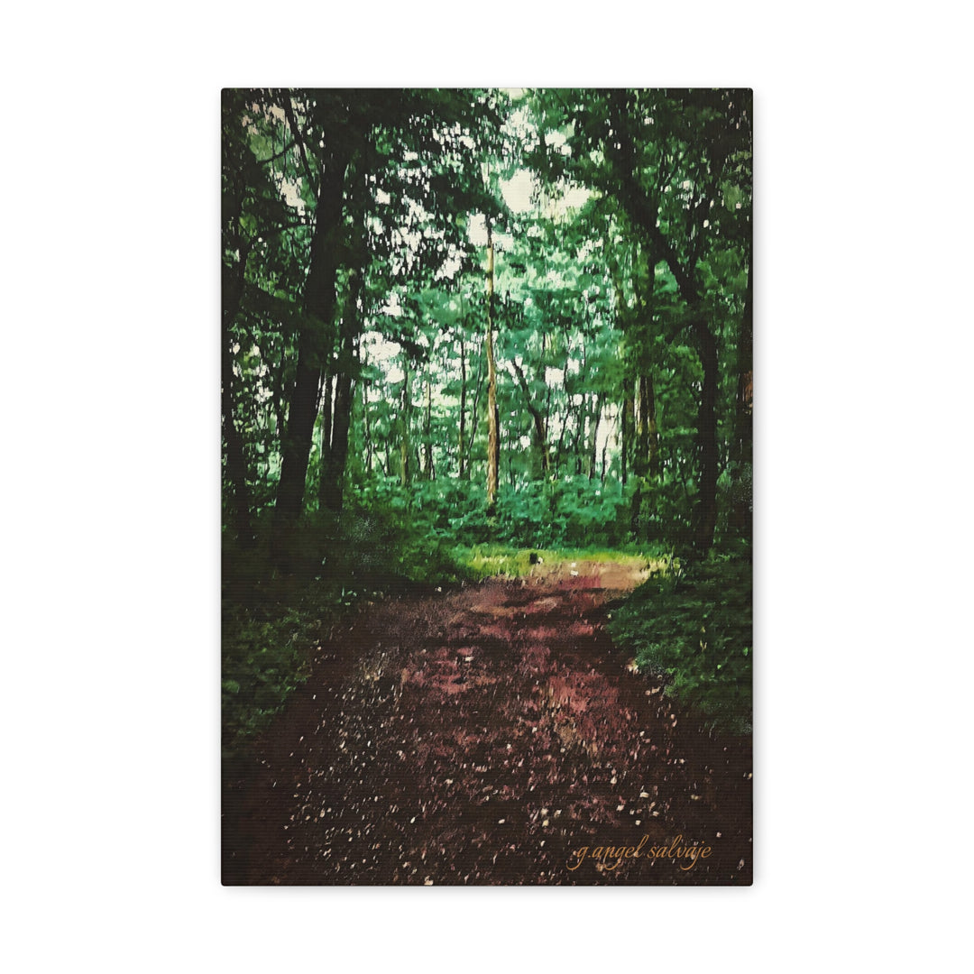 Long and Winding Path Canvas Gallery Wraps