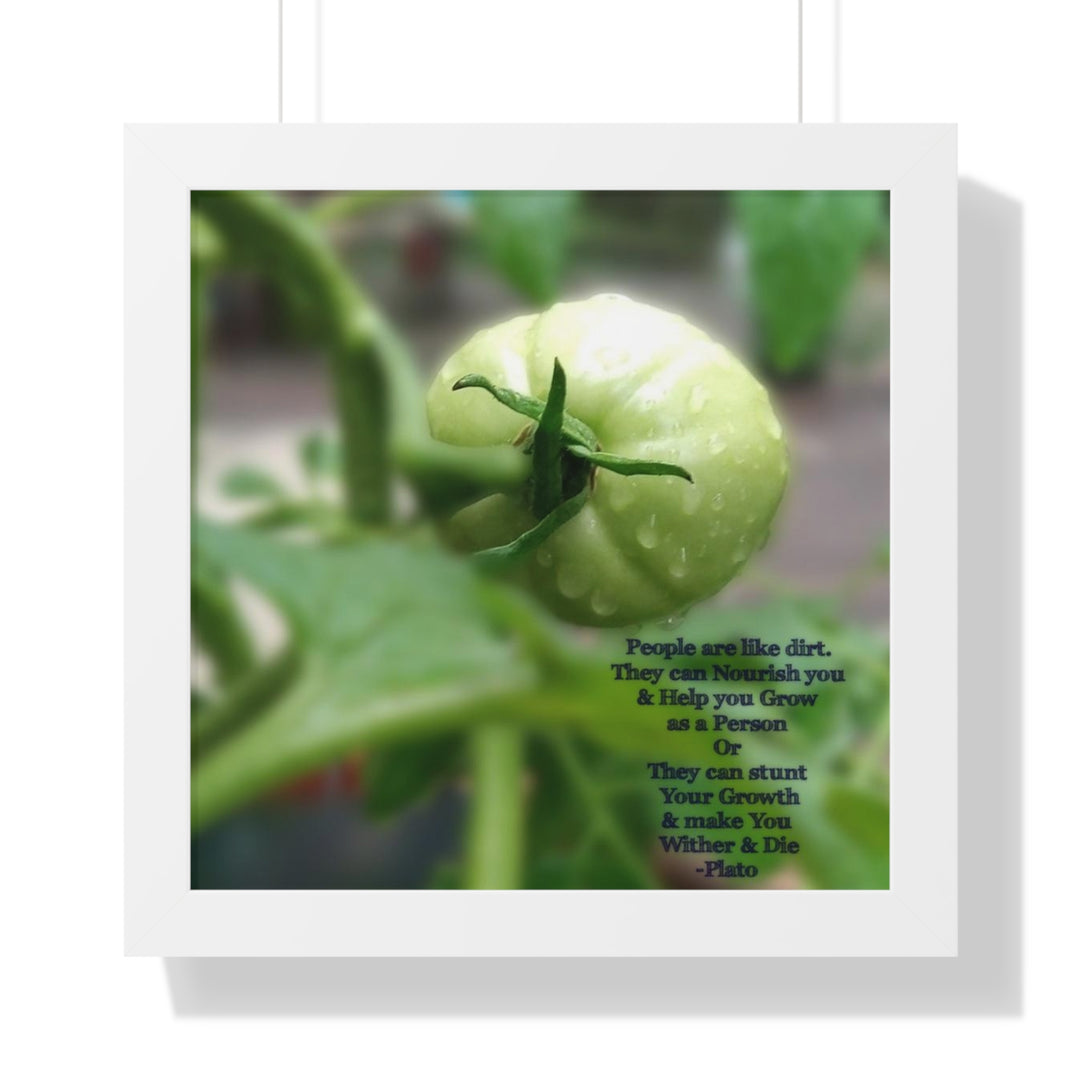 What type of soil are you? PLATO QUOTE, Framed Vertical Poster