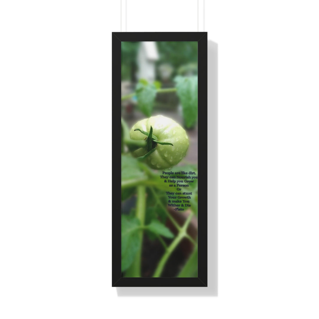What type of soil are you? PLATO QUOTE, Framed Vertical Poster