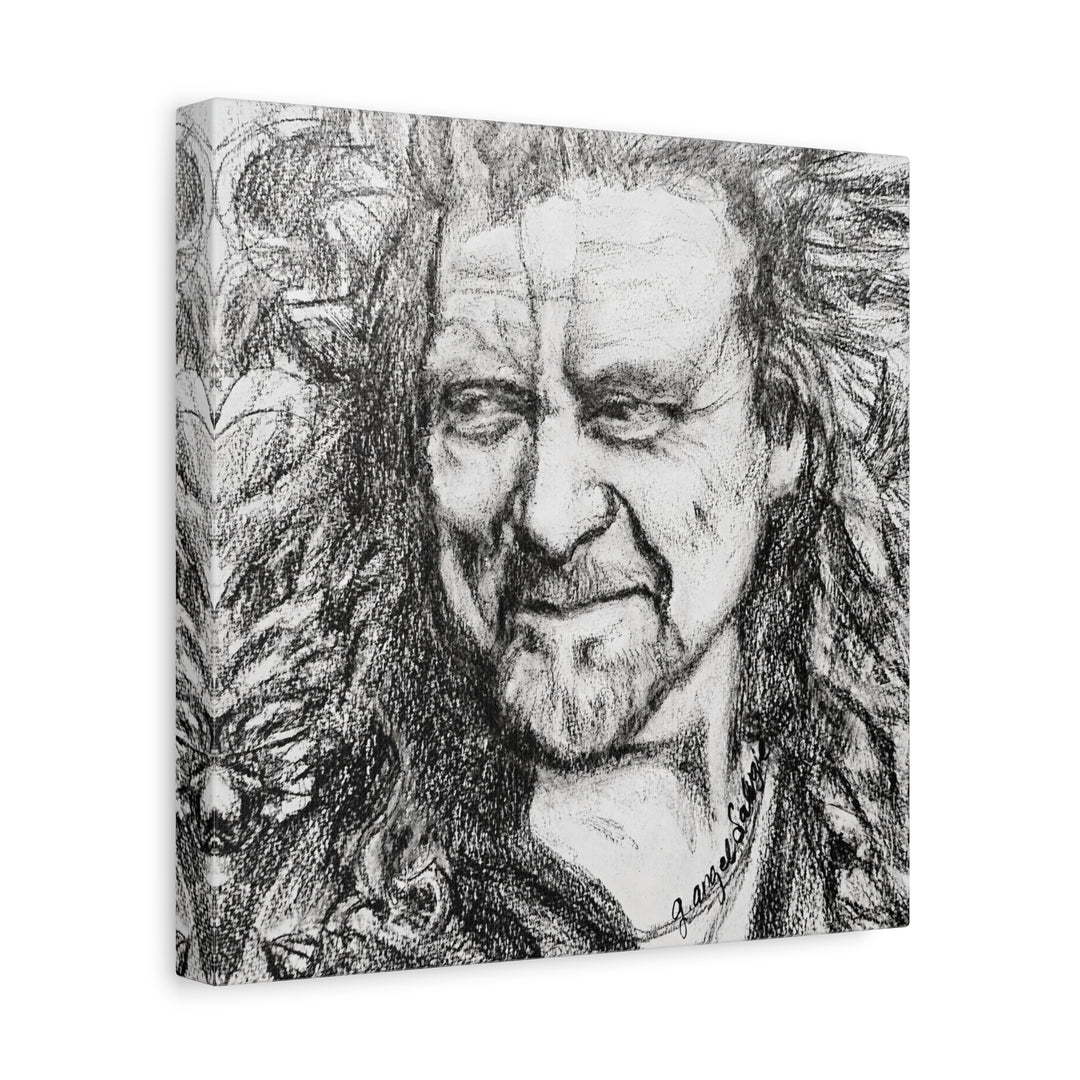 Canvas Print - Robert Plant Rock and Roll Portrait
