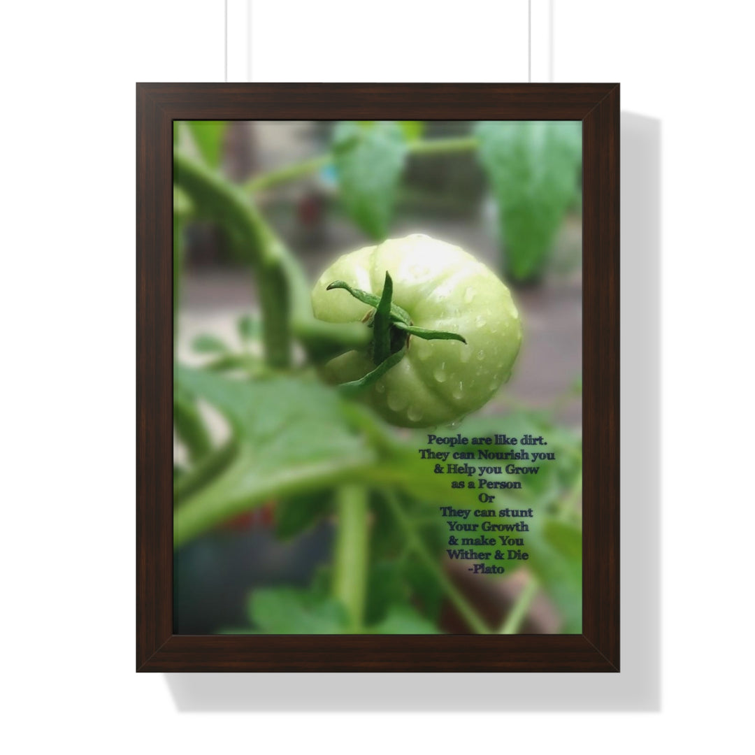 What type of soil are you? PLATO QUOTE, Framed Vertical Poster