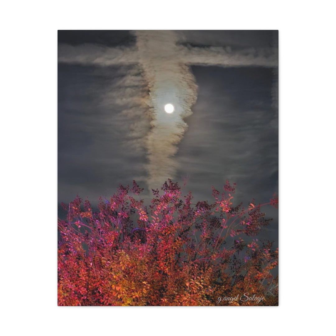 Once Upon a Moon Canvas Gallery Wraps