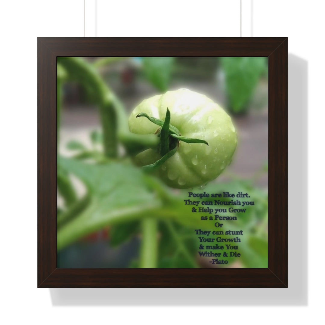 What type of soil are you? PLATO QUOTE, Framed Vertical Poster
