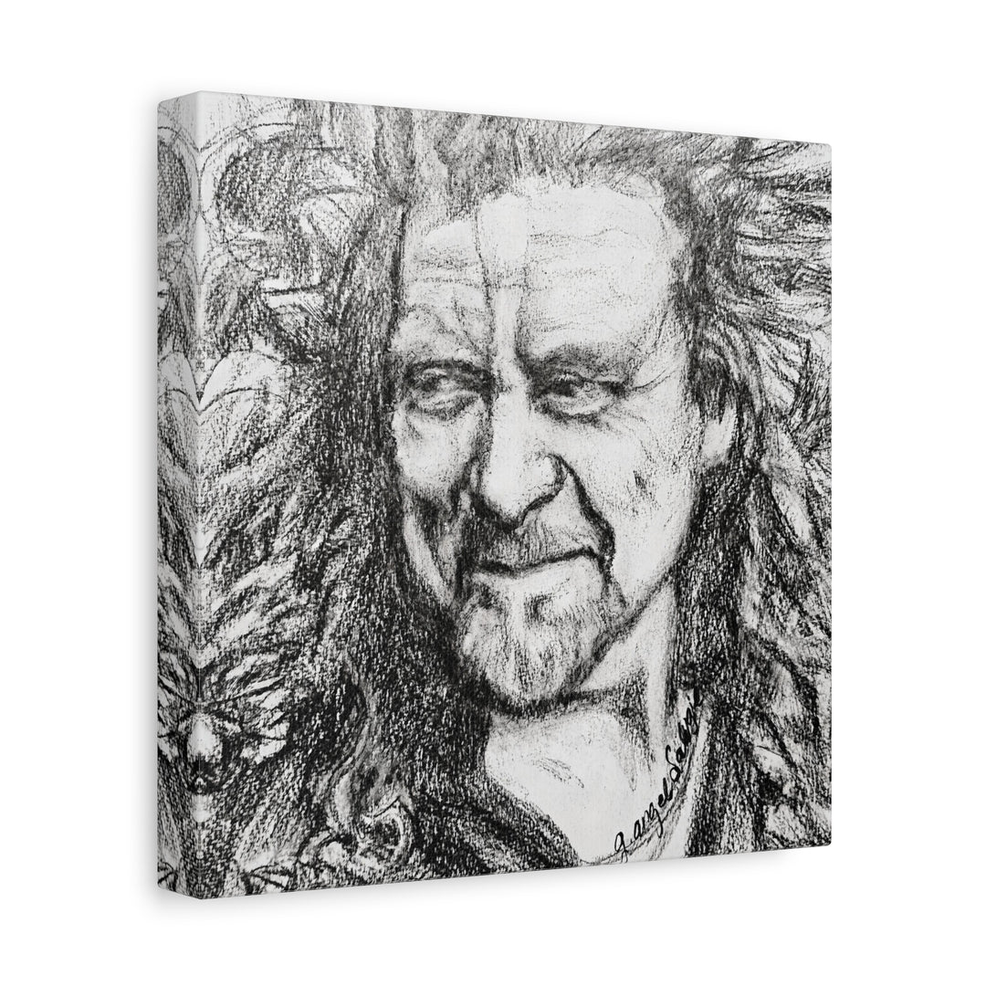 Canvas Print - Robert Plant Rock and Roll Portrait