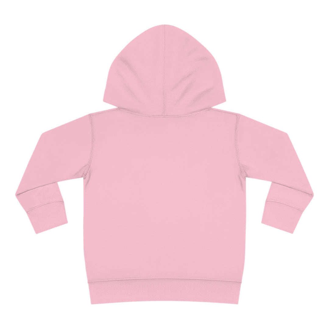 Stay positive dawg Pullover Fleece Hoodie