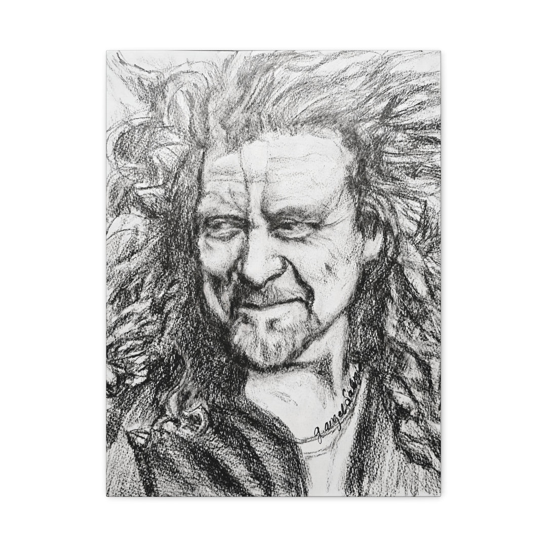 Canvas Print - Robert Plant Rock and Roll Portrait