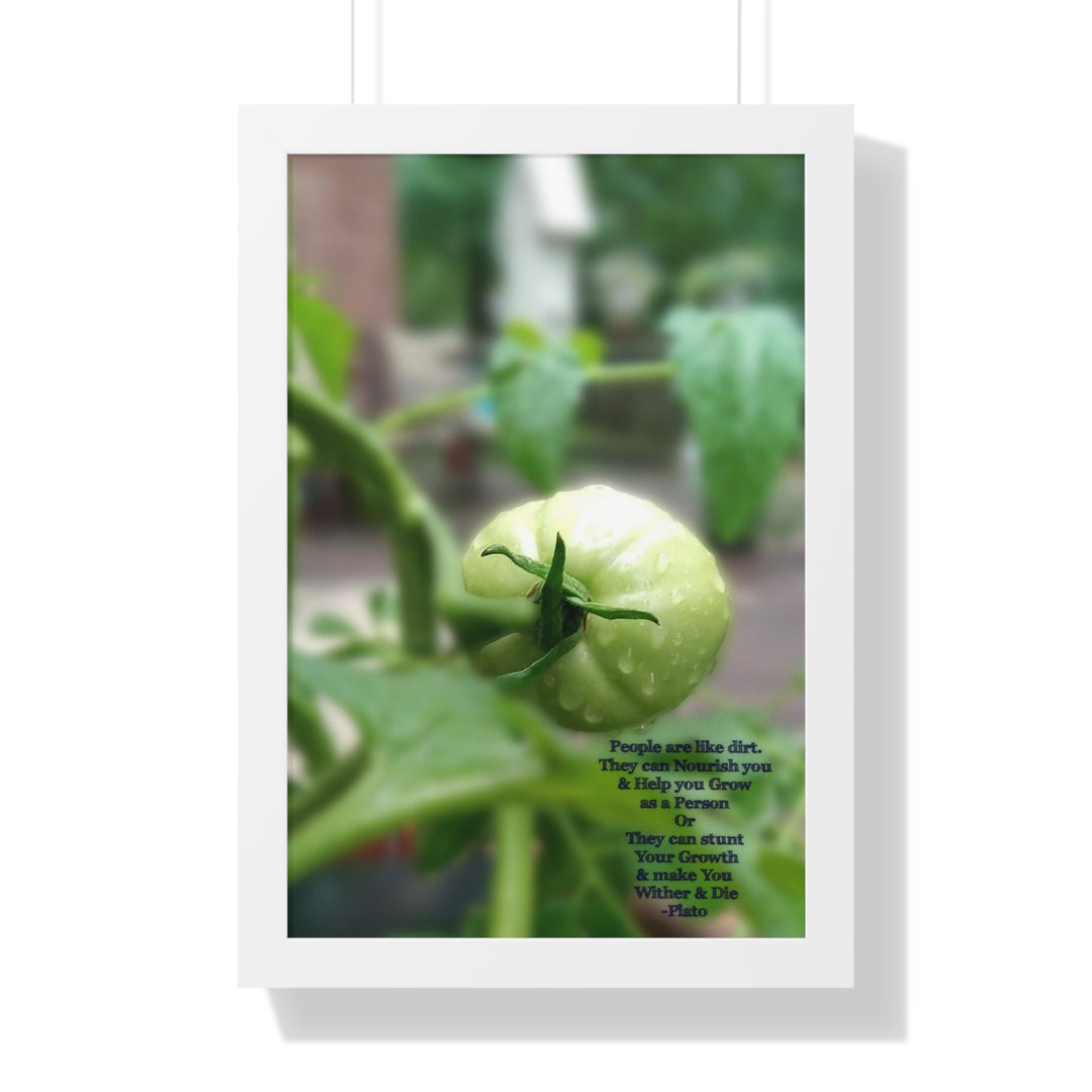 What type of soil are you? PLATO QUOTE, Framed Vertical Poster