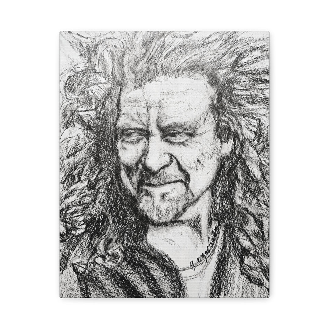 Canvas Print - Robert Plant Rock and Roll Portrait