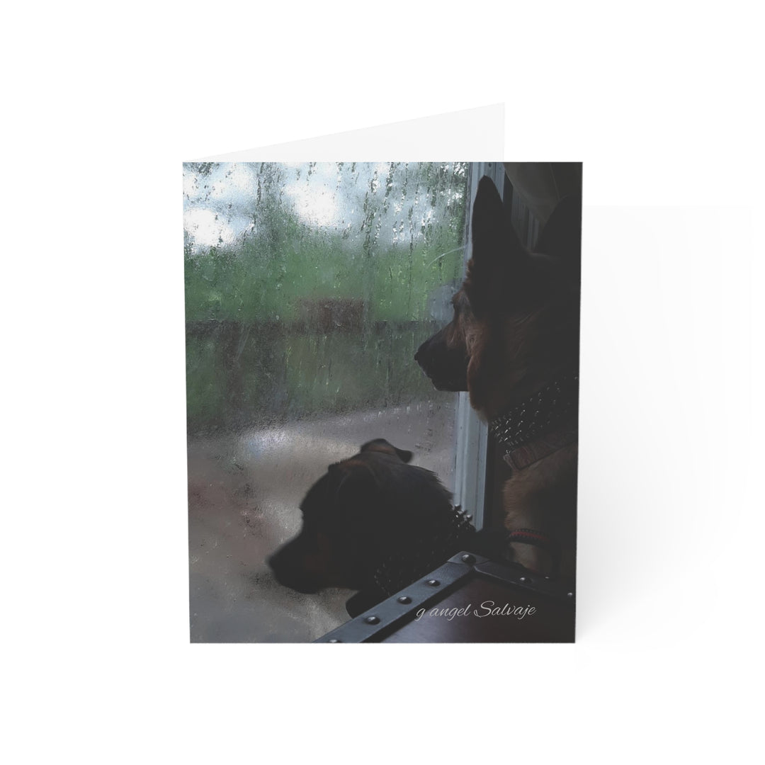 It can't Rain Forever, Disappointed DogsGreeting Cards Set - Perfect for Pet Lovers