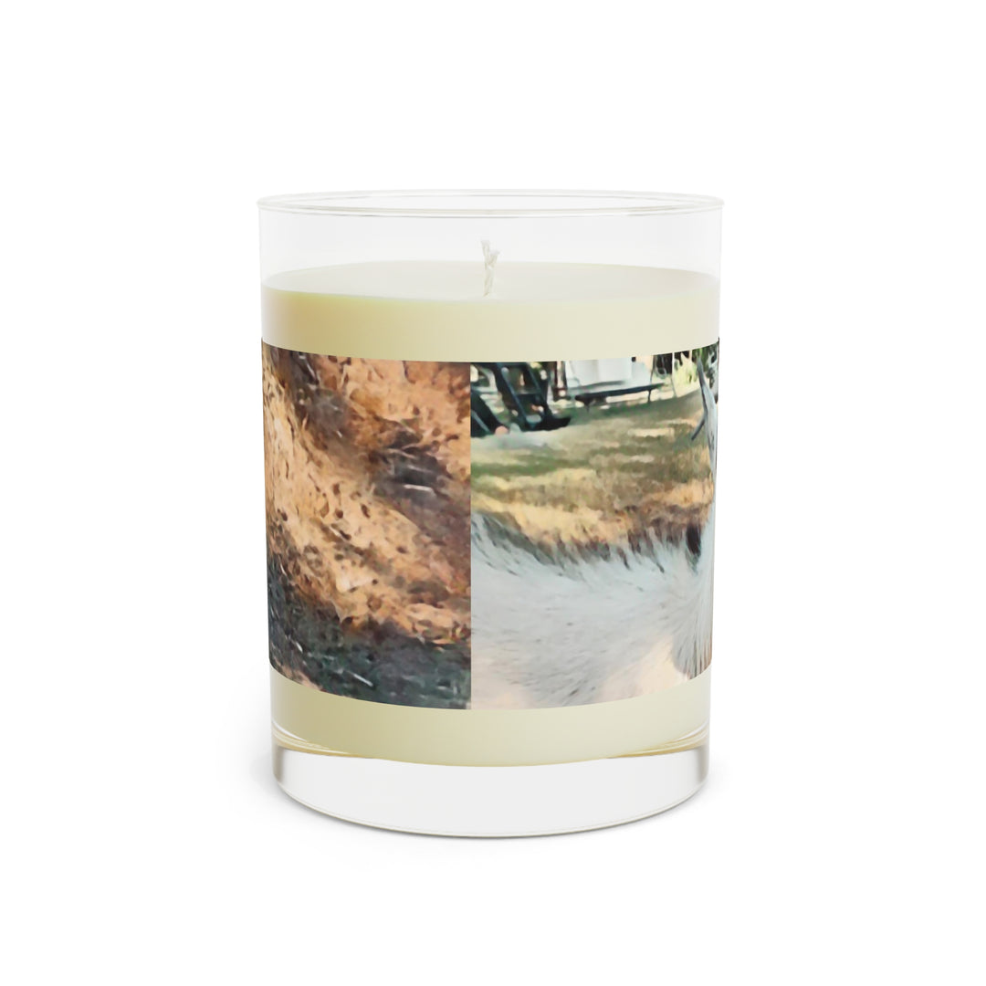 Smells like d'GOAT , Mint Lavender &Sage Scented Candle - Full Glass, 11oz