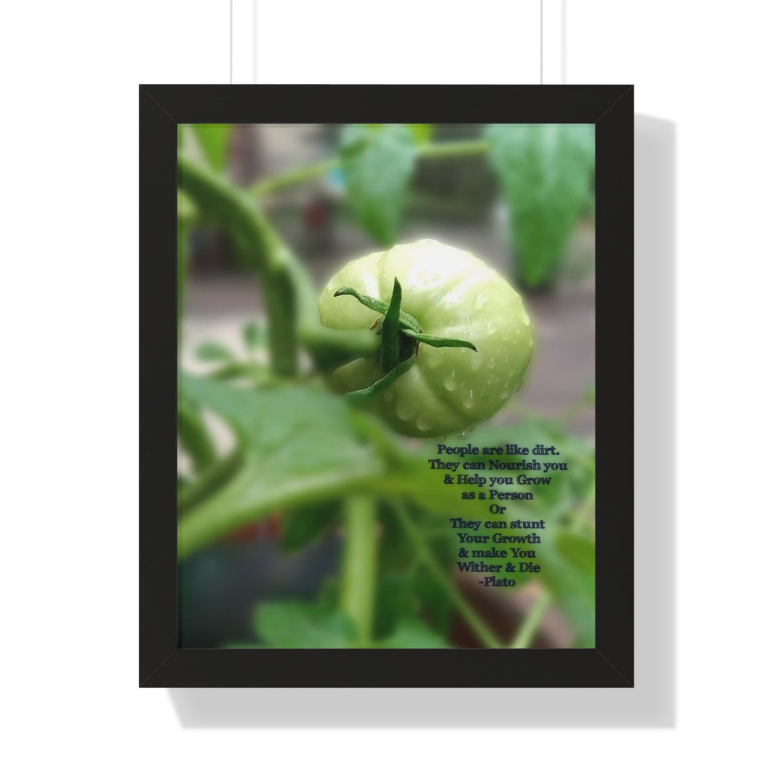 What type of soil are you? PLATO QUOTE, Framed Vertical Poster