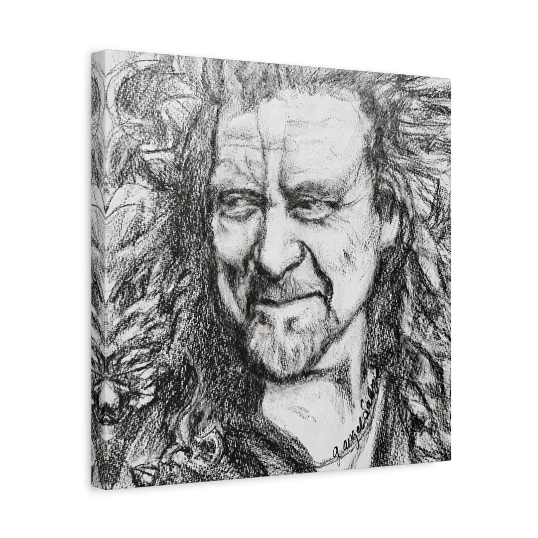 Canvas Print - Robert Plant Rock and Roll Portrait