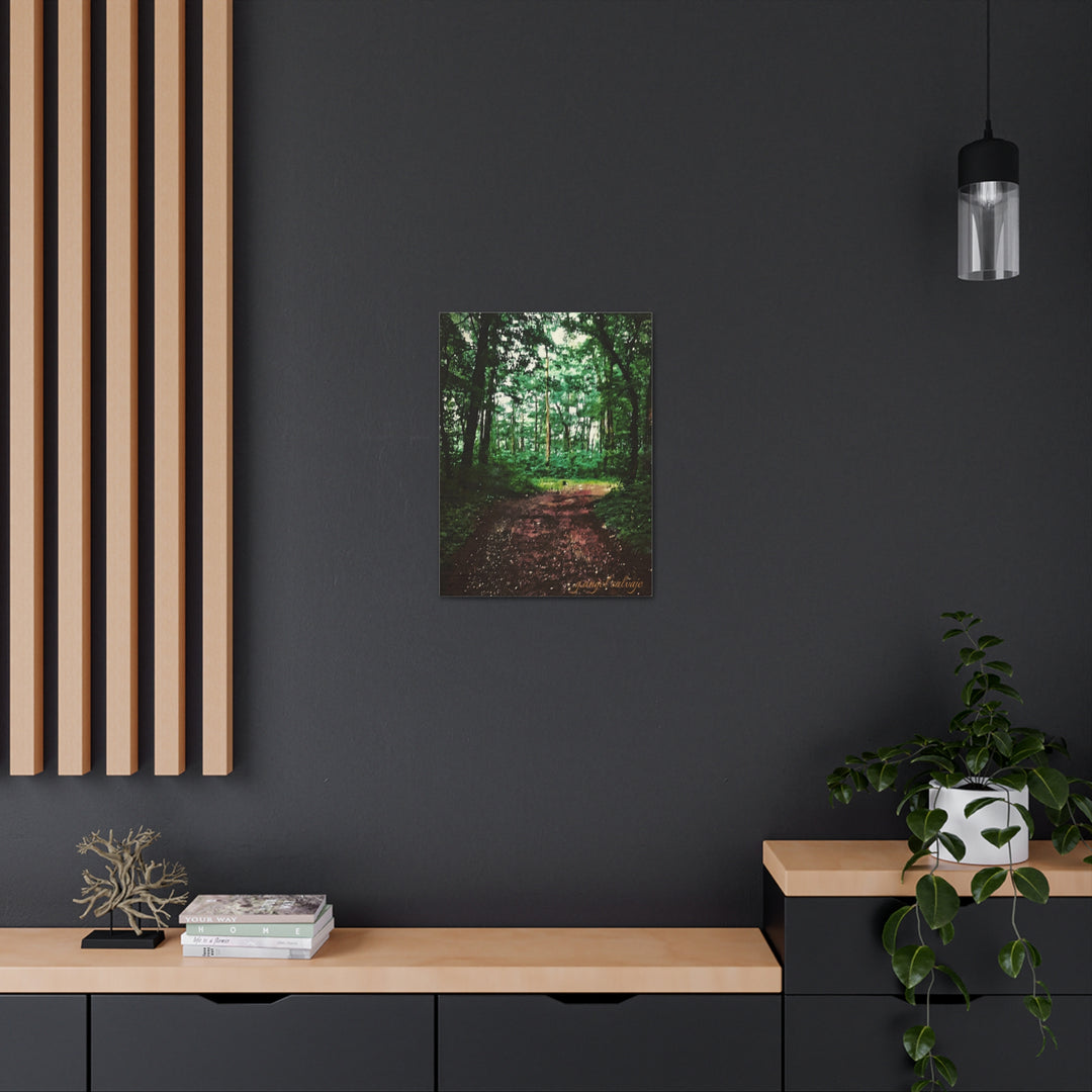 Long and Winding Path Canvas Gallery Wraps