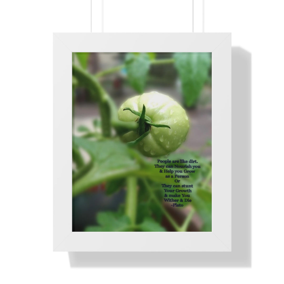 What type of soil are you? PLATO QUOTE, Framed Vertical Poster
