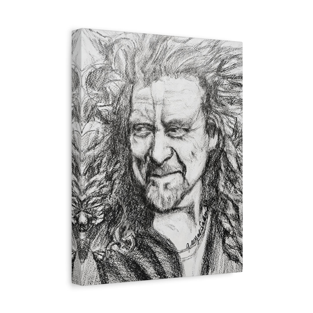 Canvas Print - Robert Plant Rock and Roll Portrait