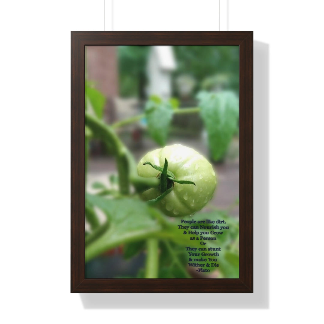 What type of soil are you? PLATO QUOTE, Framed Vertical Poster