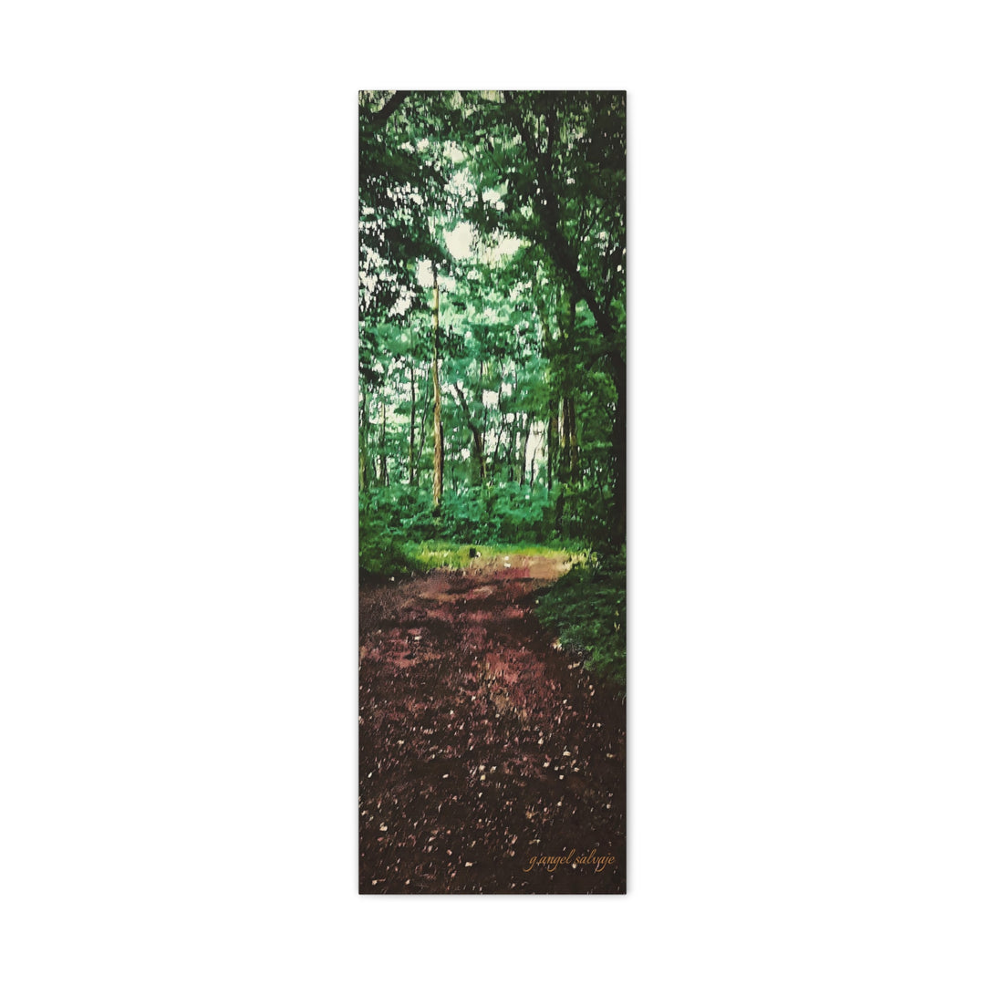 Long and Winding Path Canvas Gallery Wraps