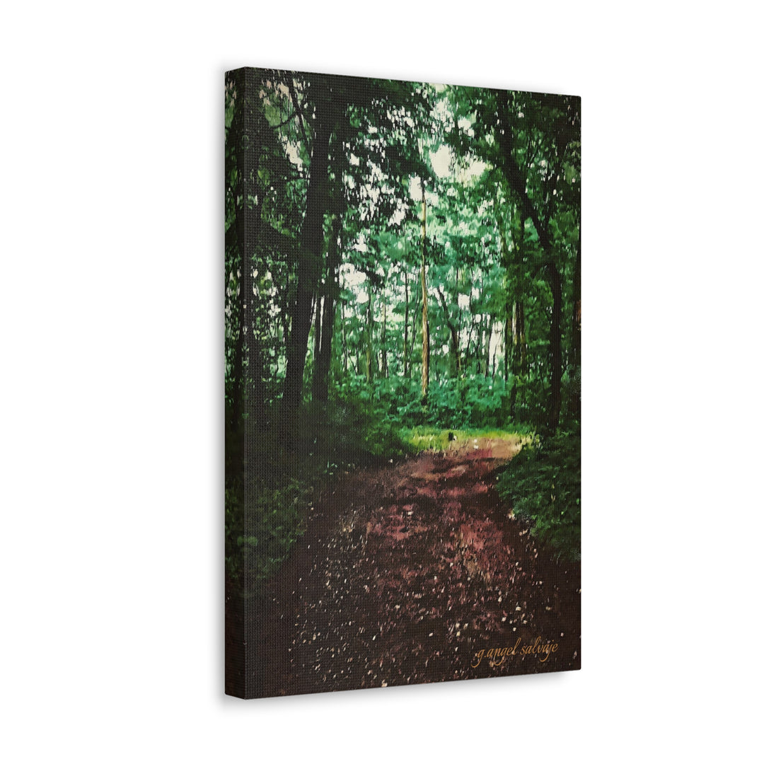 Long and Winding Path Canvas Gallery Wraps