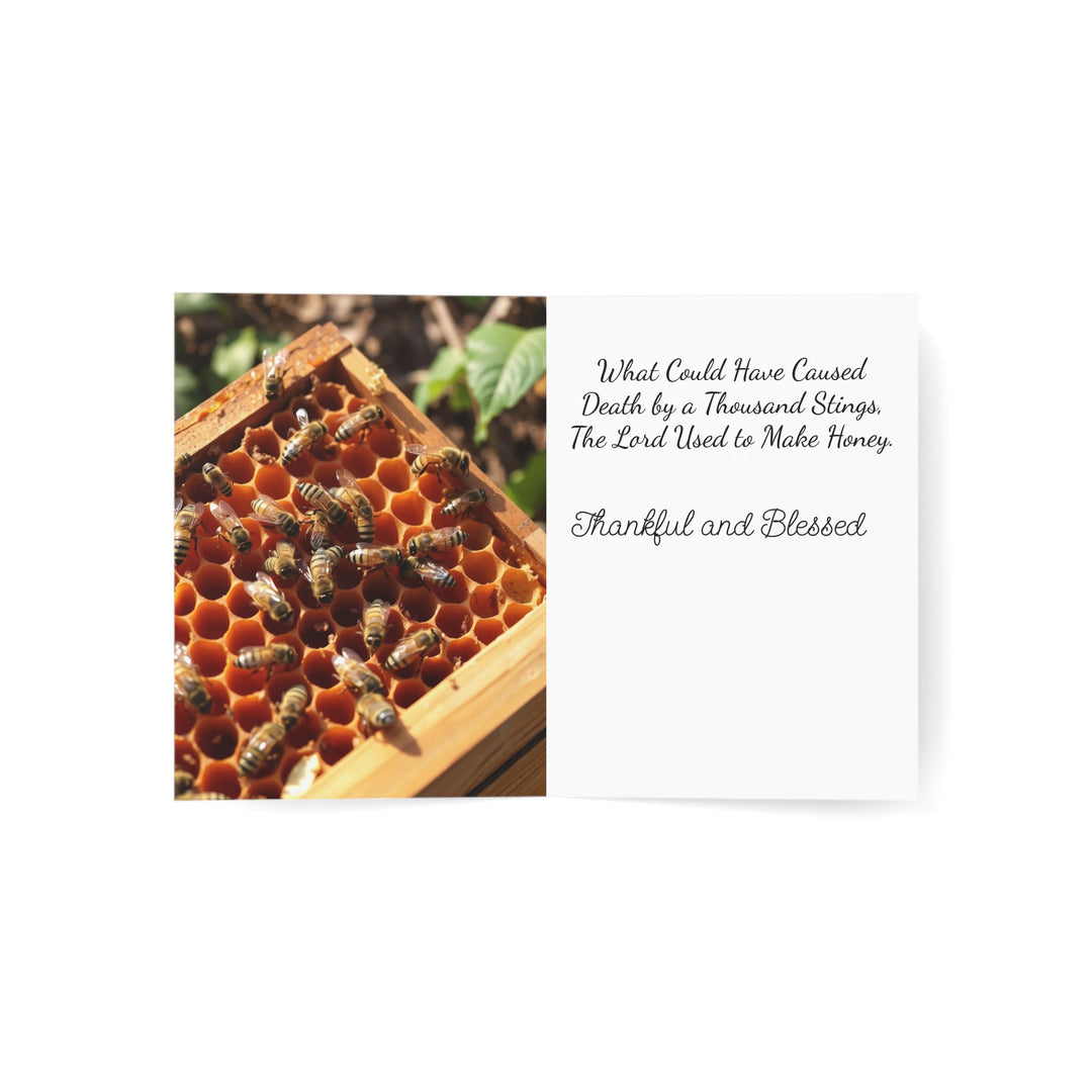 Greeting Cards Set - Faith Filled Quotes, Thanksgiving Card - 1, 10, 30, and 50pcs