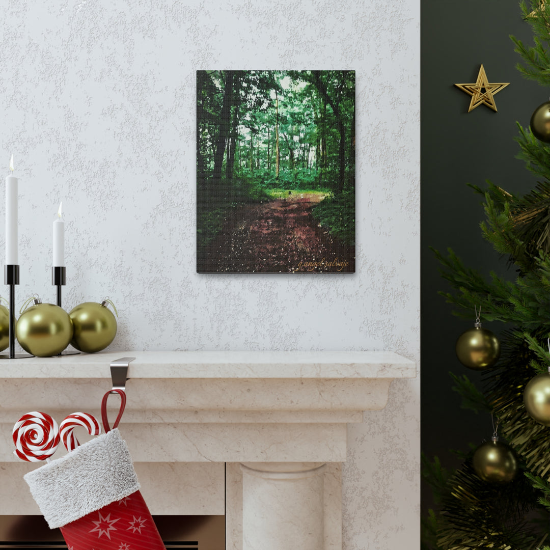 Long and Winding Path Canvas Gallery Wraps