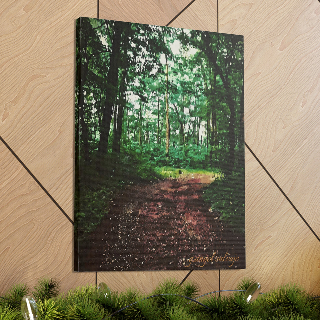 Long and Winding Path Canvas Gallery Wraps