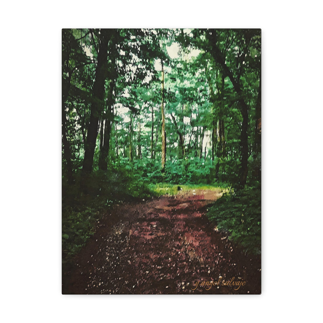 Long and Winding Path Canvas Gallery Wraps