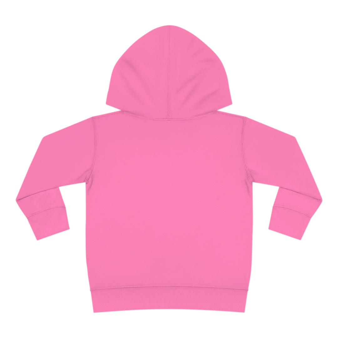 Stay positive dawg Pullover Fleece Hoodie