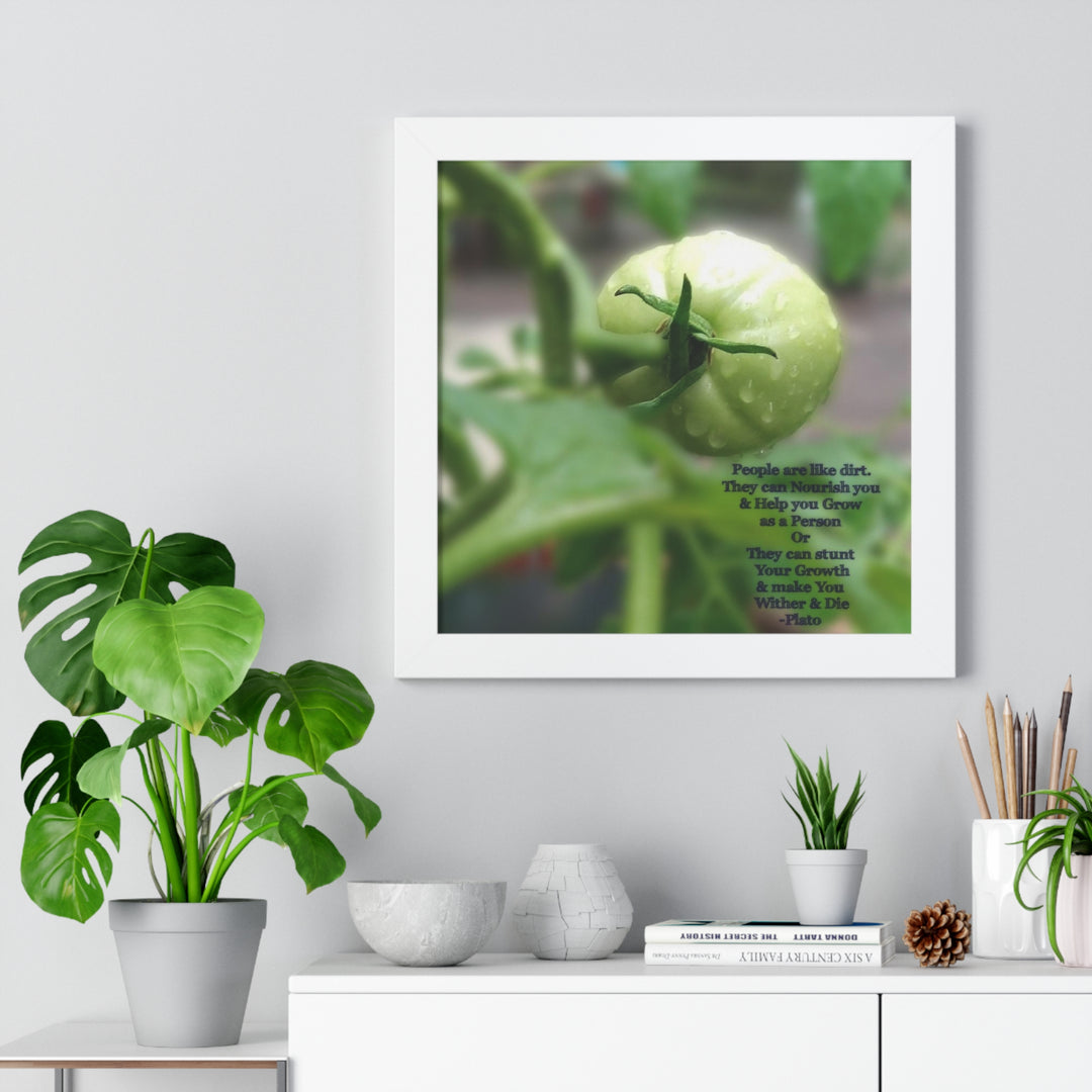 What type of soil are you? PLATO QUOTE, Framed Vertical Poster