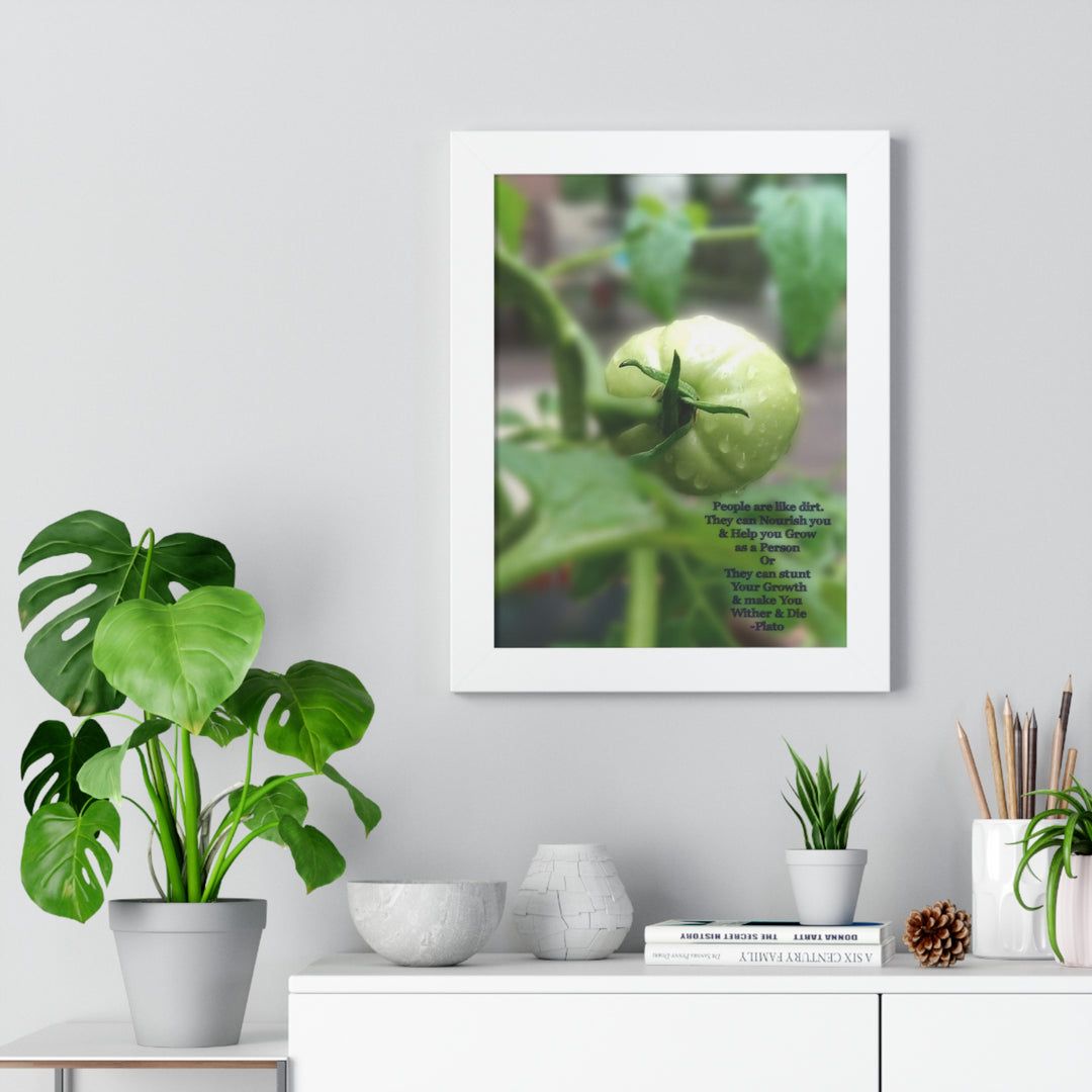 What type of soil are you? PLATO QUOTE, Framed Vertical Poster