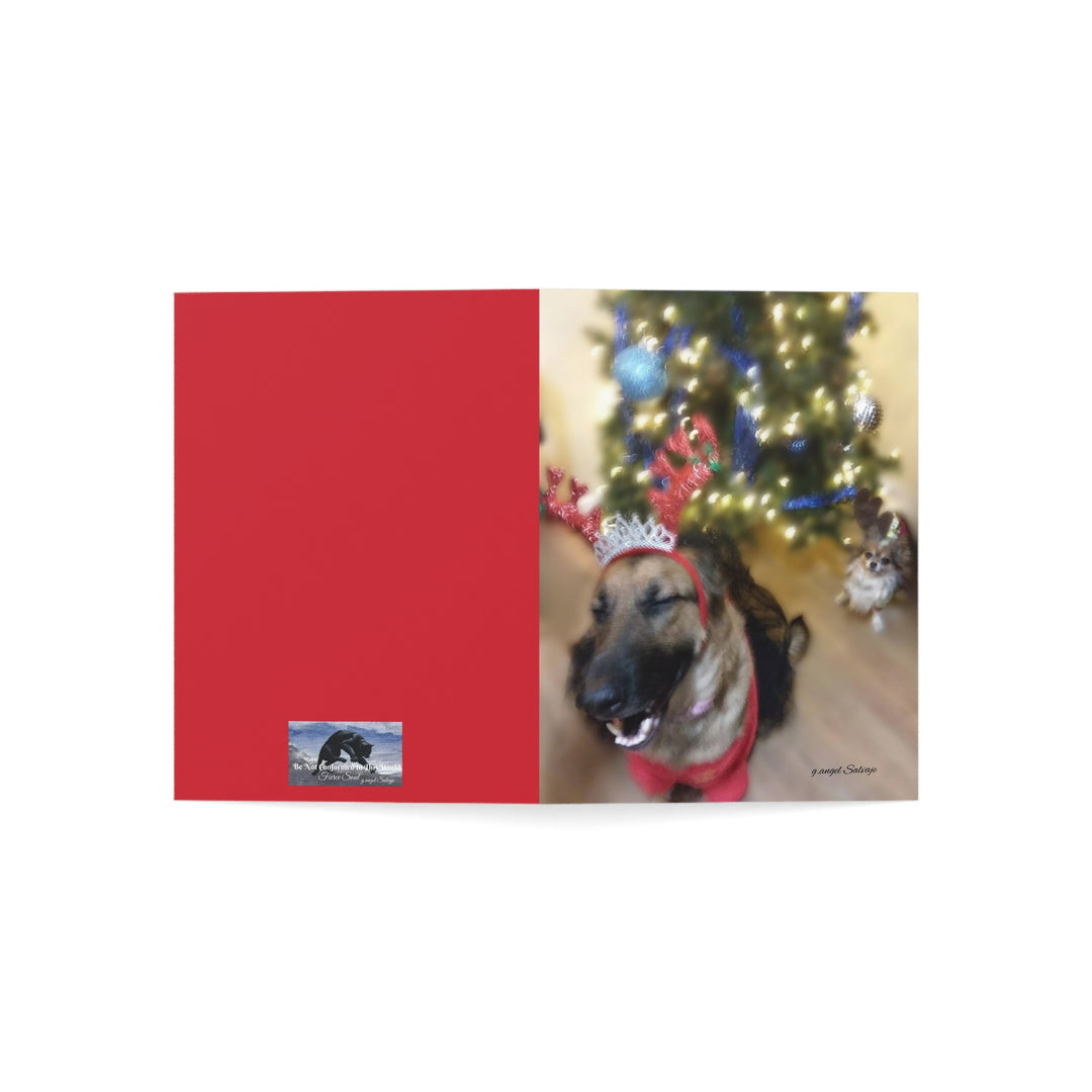 Greeting Cards Cheeky Christmas Queen & Winston Design Set