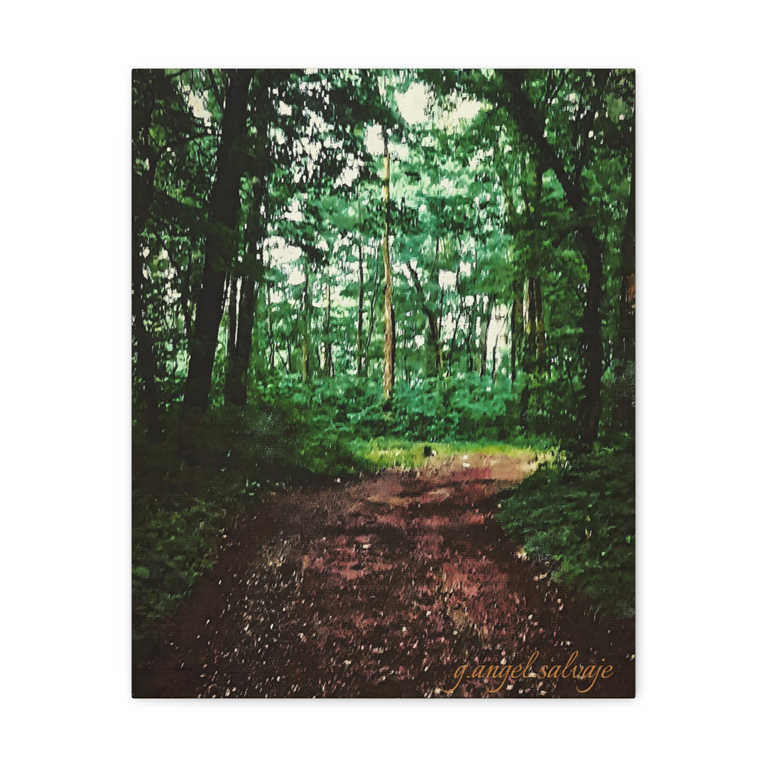 Long and Winding Path Canvas Gallery Wraps
