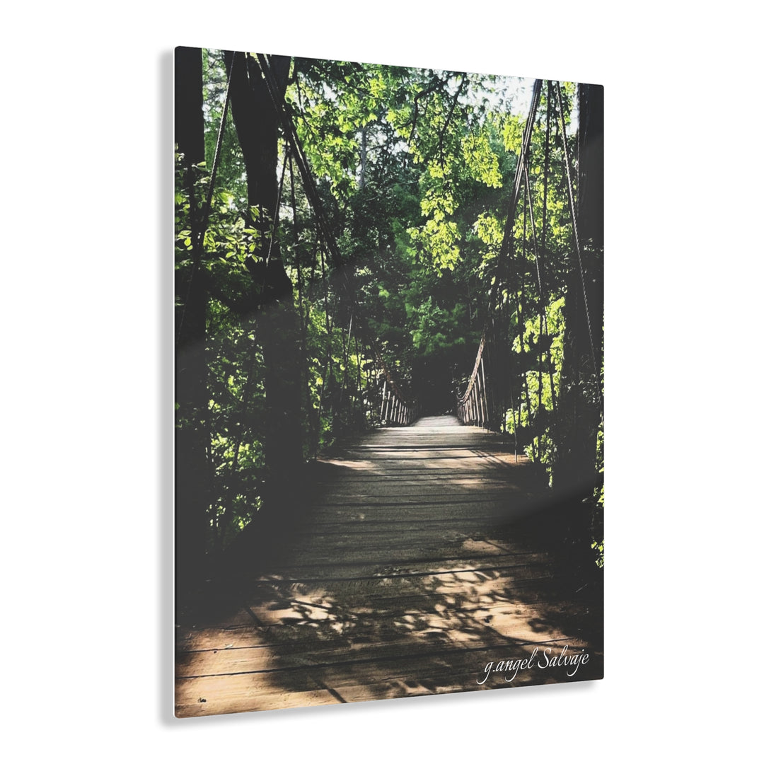Bridge of Unknown Destination Acrylic Prints