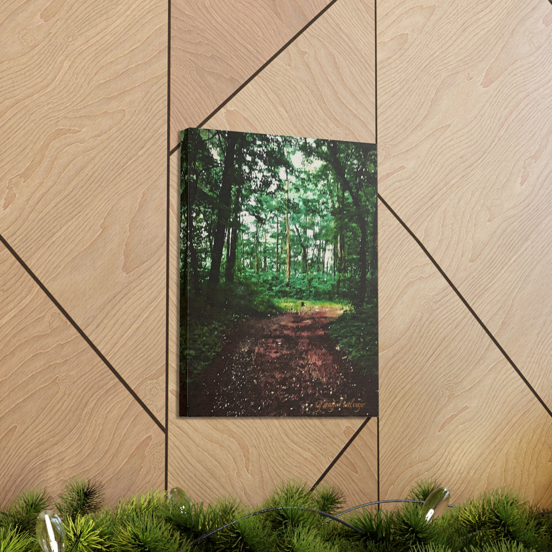 Long and Winding Path Canvas Gallery Wraps