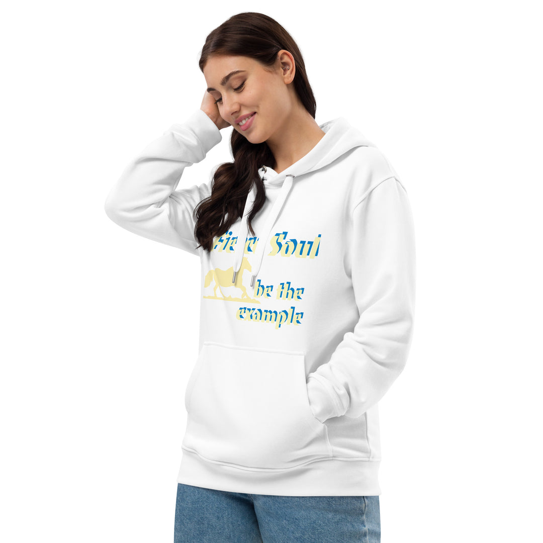 Fierce Soul, be the Example Premium eco hoodie