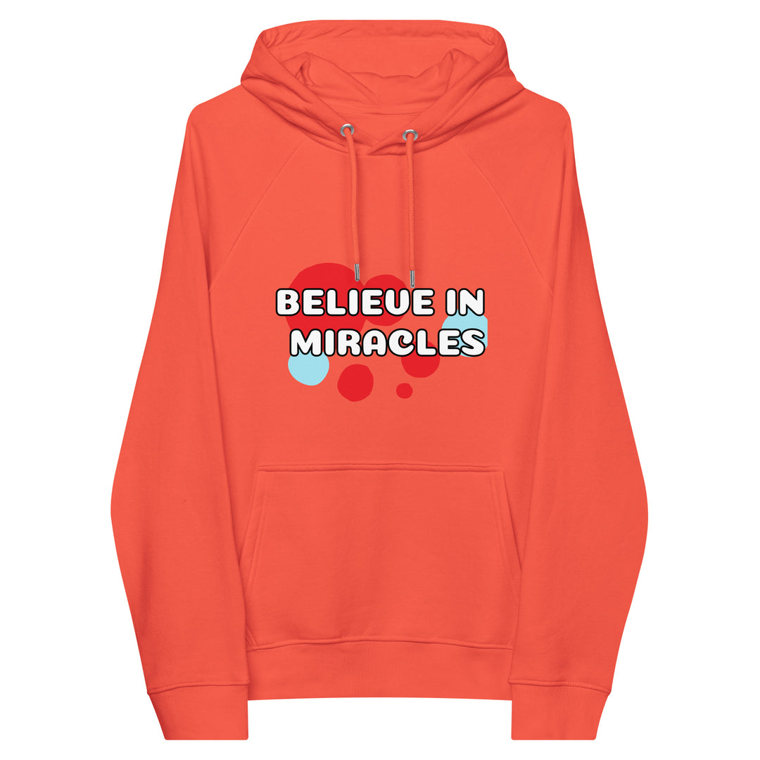 Go with the Flow, Unisex eco raglan hoodie