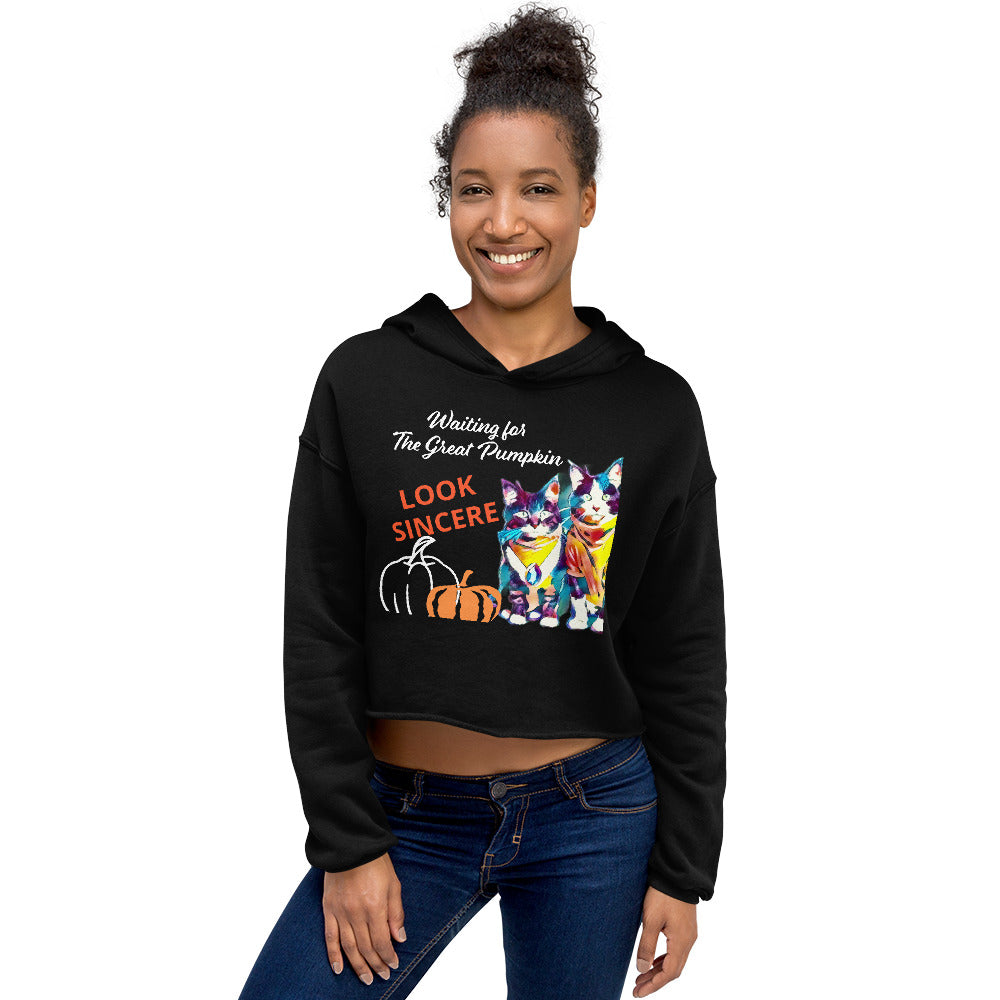 Sincerity and the Great Pumpkin Hoodie