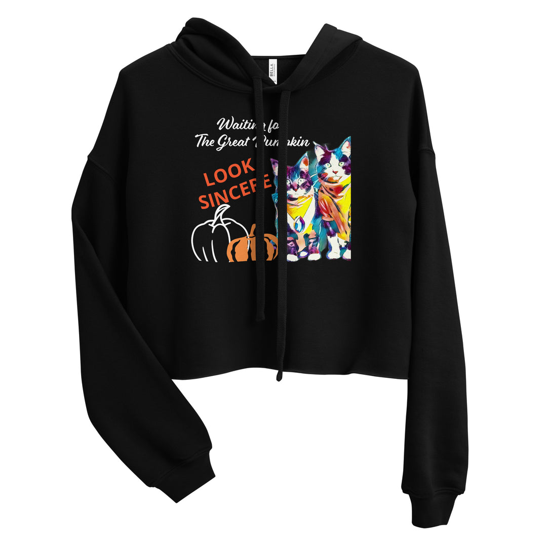 Sincerity and the Great Pumpkin Hoodie