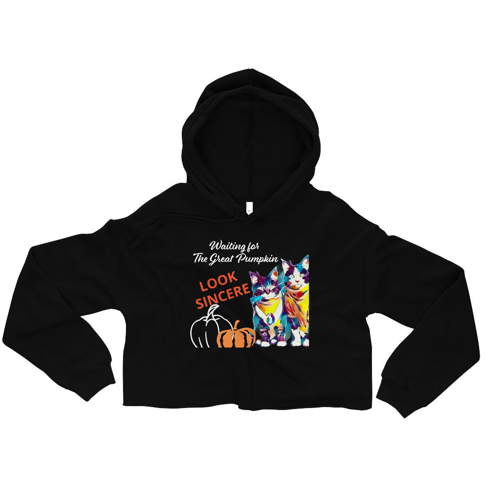 Sincerity and the Great Pumpkin Hoodie