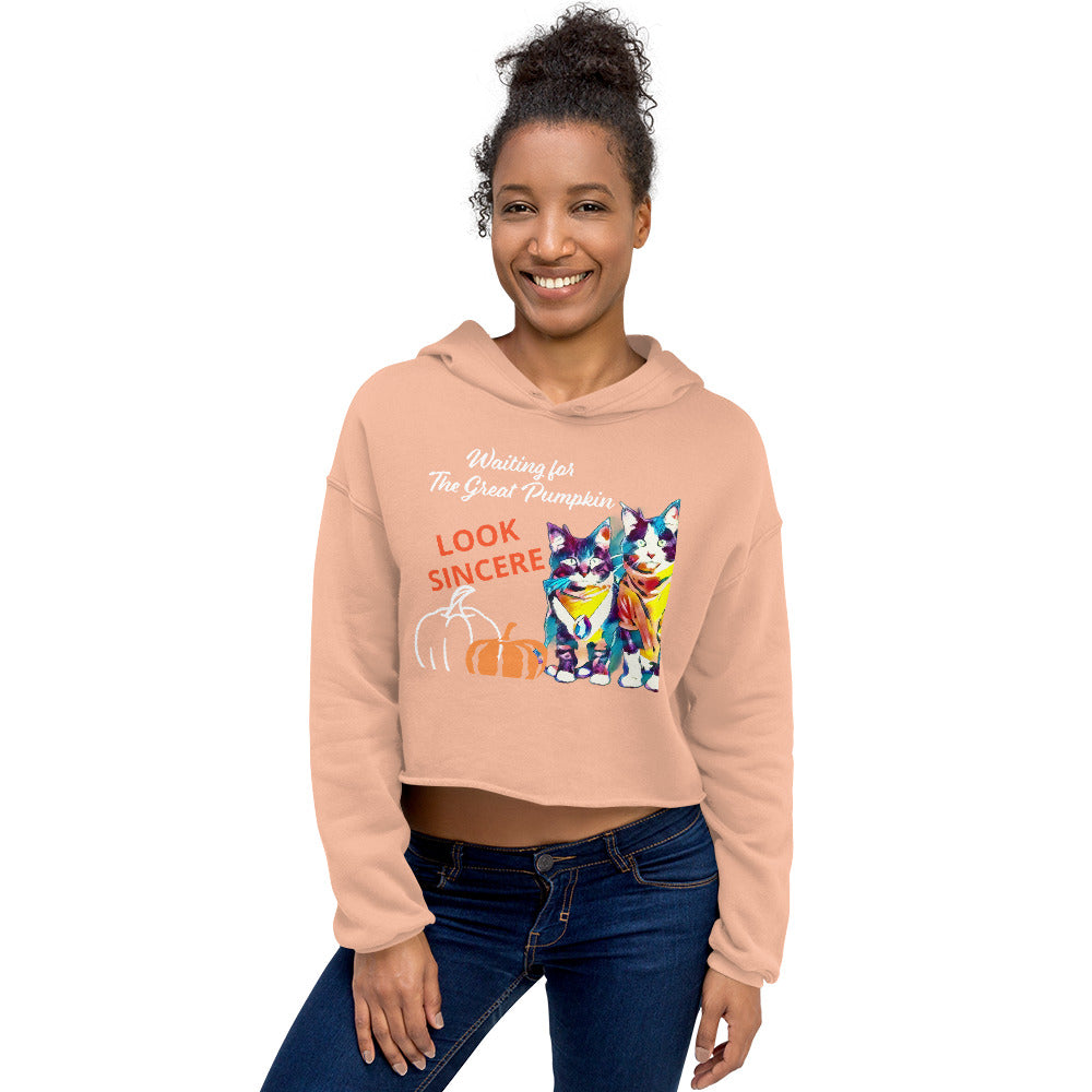 Sincerity and the Great Pumpkin Hoodie