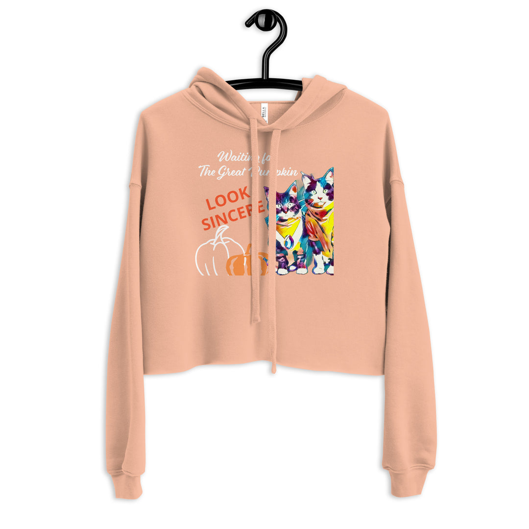 Sincerity and the Great Pumpkin Hoodie