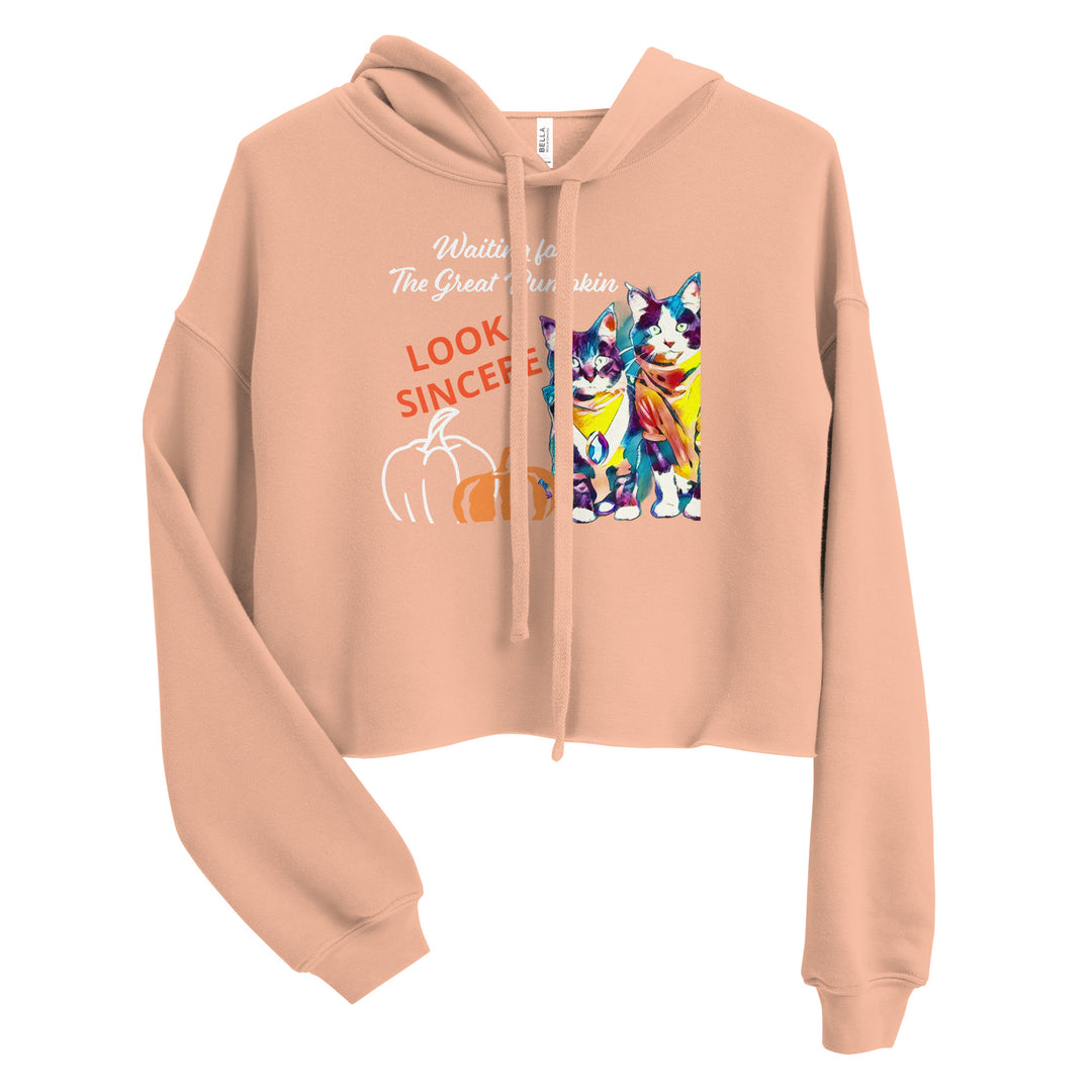 Sincerity and the Great Pumpkin Hoodie