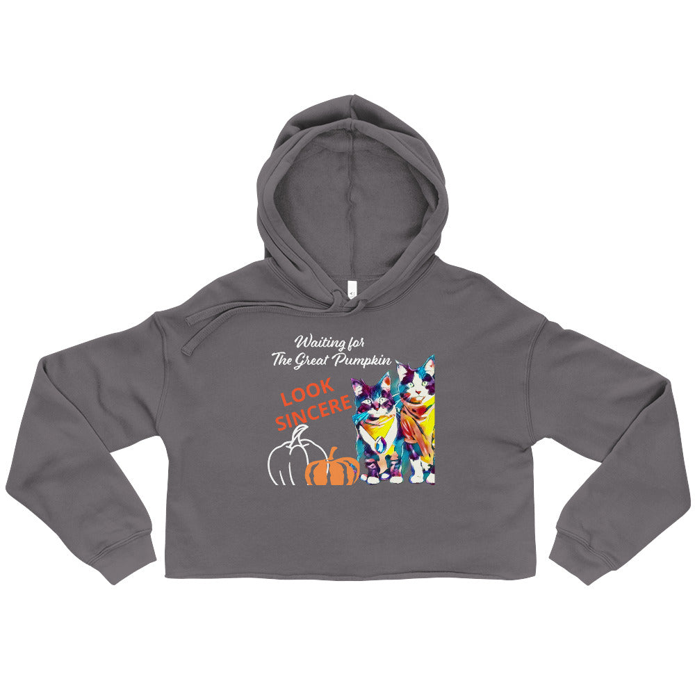 Sincerity and the Great Pumpkin Hoodie