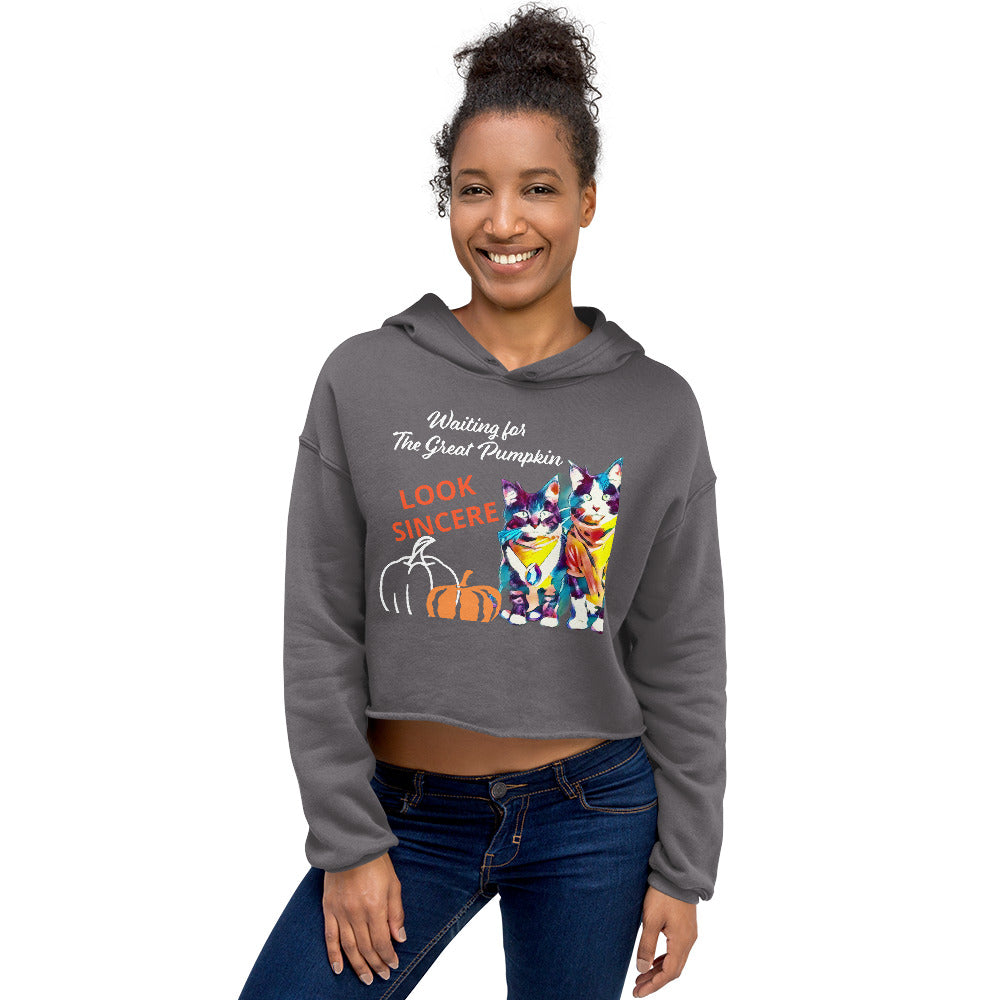 Sincerity and the Great Pumpkin Hoodie